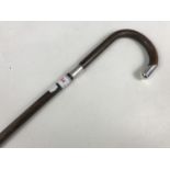 A silver collared and capped walking cane