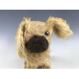 A vintage toy dog, having golden mohair, a single glass eye, and a brown mohair muzzle, wood wool