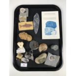 Various fossil ammonites and rock specimens, together with a reference guide to fossils