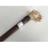 A Victorian walking cane with ivory pommel carved as a snarling dog's head