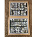 Two framed sets of cigarette cards showing birds