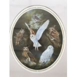 A signed print by Kim Thompson entitled The Beauty of Owls