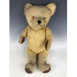 A mid 20th Century growling Teddy bear, having blonde mohair, glass eyes and leather paw pads,