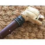 A Victorian walking cane with ivory pommel modelled as the head of a fighting dog