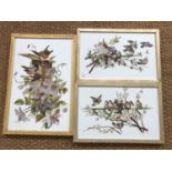 Three hand-painted porcelain plaques depicting birds, uniformly framed, the largest measuring, 32