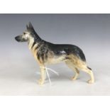 A Beswick Ch-Ulrica of Brittas dog figurine