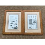 Two uniformly framed and mounted 19th Century bookplates, depicting architectural features and