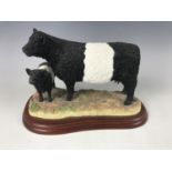 A Border Fine Arts Galloway cow and calf, Cattle Breeds A2693 figurine