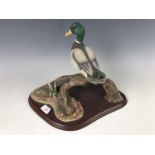 A Border Fine Arts "Water Fowl of the World" figurine by Don Briddell, A0477 Mallard