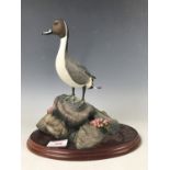 A Border Fine Arts "Water Fowl of the World" figurine by Don Briddell, A0478 Pintail