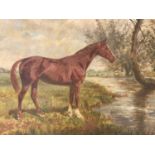 L*** H*** (19th Century) Tranquil study of a racehorse standing beside a river, oil on canvas,