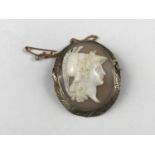 A yellow-metal and carved shell cameo brooch, bearing the profile of a Greek god, in a foliate