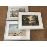 W*** Scott Smith (Contemporary) Three watercolour tree studies, framed and mounted under glass, 36 x