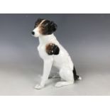 An ENS Volkstadt porcelain fox terrier figurine