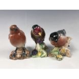 Three Beswick bird figurines including a bullfinch, a robin and a goldfinch