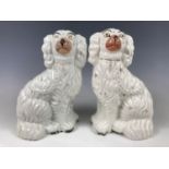 A pair of Staffordshire dogs