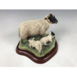 A boxed Border Fine Arts boxed figurine, Sheep Breeds Series, Black Faced Ewe and Lambs, A1244