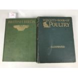 British Birds by F.B. Kirkman & F.C.R. Jourdain together with Wright's Book of Poultry
