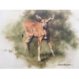 After David Shepherd CBE (1931-2017) Young Eland, signed limited edition offset lithographic