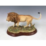 A boxed Border Fine Arts boxed figurine, Wild World Series, Lion, A5047