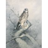 After Gordon Beningfield (1936-1998) Kestrel, signed limited edition print, 87/475, pencil signed to