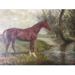 L*** H*** (19th Century) Tranquil study of a racehorse standing beside a river, oil on canvas,