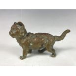 Attributed to Franz Bergman, a cast brass cat, modelled in an alert upright stance with raised tail,