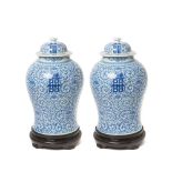 Chinese blue and white porcelain pair of vases, late 19th century