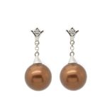 White gold, diamonds and chocolate pearl earrings