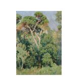 Joaquim Vancells (Barcelona, 1866-1942) Bosque. Óleo sobre tela adherida a tabla. Firmado. 31 x 25