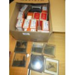 Quantity of glass negatives,