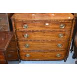 Regency mahogany semi bow fronted chest of four graduated drawers with oval brass handles raised on