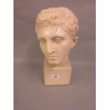 Reproduction composition bust of a Roman male