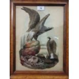19th Century feather collage picture, American Bald Eagles on a nest,