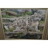 Willem Sternberg De Beer, oil on canvas, snow leopard cubs, signed,