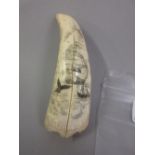 Small antique whale tooth scrimshaw etched with whaling scene and signed John