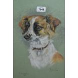 Marjorie Cox, pastel portrait of a dog, signed, dated 1979, 17ins x 13ins,