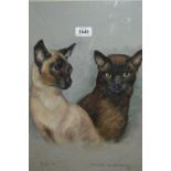 Pastel portrait of two Siamese cats, signed and dated 1976, 20ins x 17.