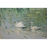 Attributed to Vernon Ward, oil on canvas board, swans and cygnets on a lake, original frame,