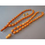 Two amber bead necklaces,