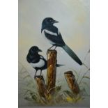 Tony Clark, oil on canvas, two magpies, unframed, 20ins x 16ins,