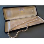 Osaka single row of cultured pearls with 9ct gold gem stone and pearl set clasp,