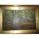 Frederick Golden Short signed oil on canvas board, a sunlit woodland landscape.