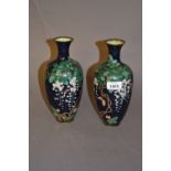 Pair of Japanese cloisonne baluster form vases decorated with wisteria on a midnight blue ground,