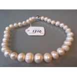 String of cultured pearls with a silver barrel clasp