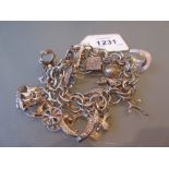 Silver charm bracelet mounted with a quantity of various silver and other charms