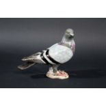 HUTSCHENREUTHER PORCELAIN PIGEON a porcelain figure of a Pigeon, signed by E Werner and made for