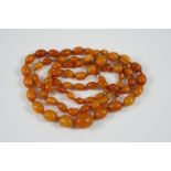 A SINGLE ROW GRADUATED AMBER BEAD NECKLACE 88cm. long, 27 grams.