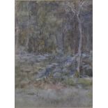 HELEN ALLINGHAM, RWS (1848-1926) THE EDGE OF THE WOODS Signed, watercolour 16 x 11.5cm. *