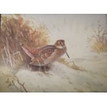 ATTRIBUTED TO CHARLES WHYMPER (1853-1941) WOODCOCK IN WINTER Watercolour 22 x 29.5cm. ++ Slightly